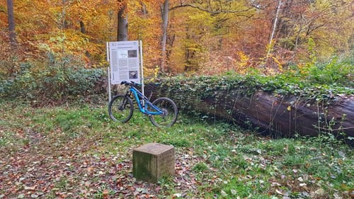 Zum Heubacher Schukstein