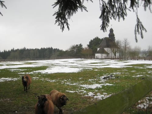 Armutsbachtal Rundweg