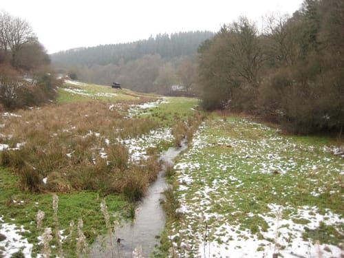 Armutsbachtal Rundweg