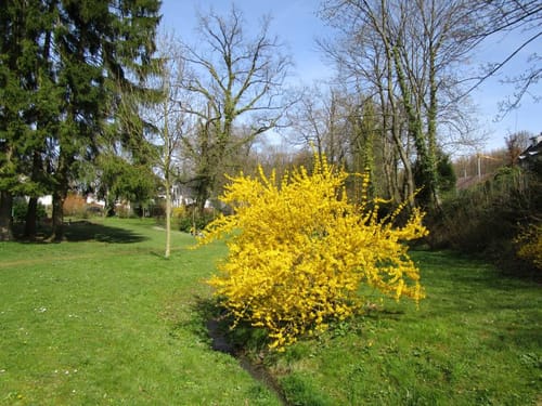 Steinhauerrunde (Bergische Streifzüge 8)
