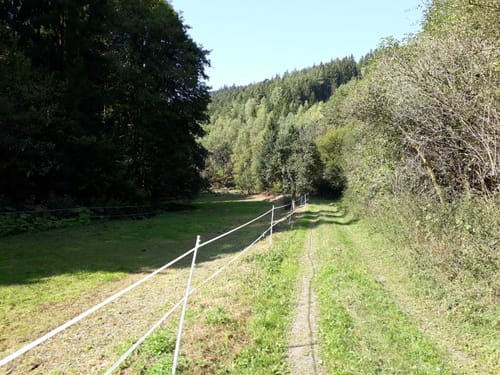 Grünes Band - Lehesten nach Probstzella