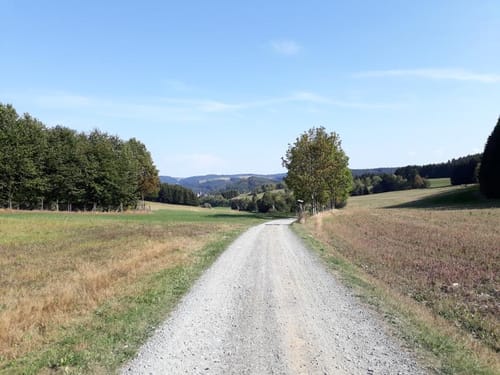 MTB-Tour 1: Rennsteig-Region Nord
