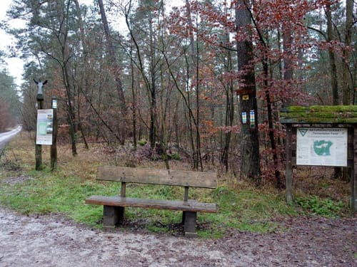 Tennenloher Forst - Kreuzeiche - Kugelfangwall Rundweg