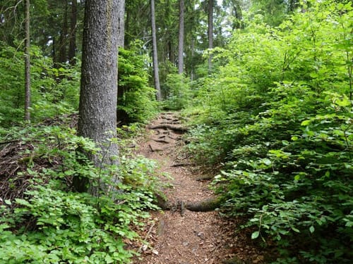 Eschenfelden Rundweg 8