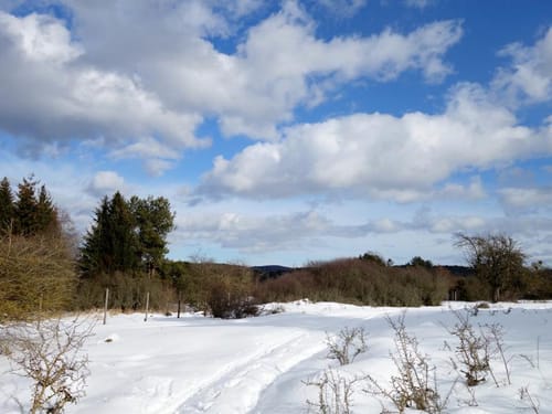 Alfeld nach Wörleinshof