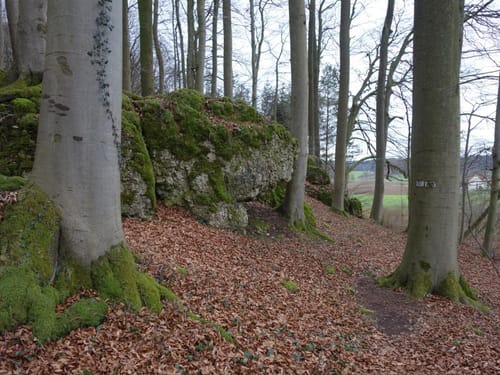 Naturlehrpfad Hiltpoltstein (Rotring)