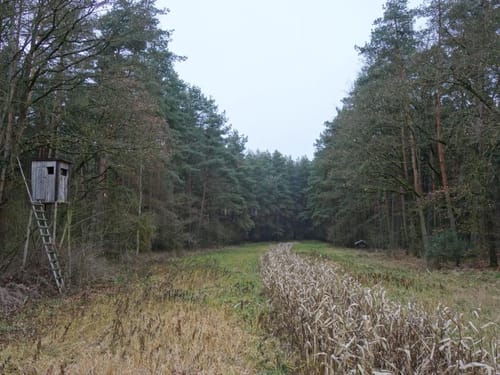 Rundwanderweg 1 Büchenbach