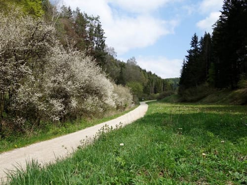 Therapeutischer Wanderweg