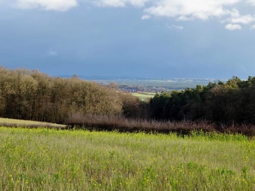 Atzelsberg nach Uttenreuth über Marloffstein