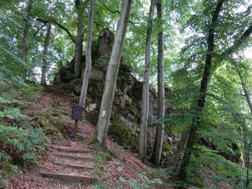 Urdonautalsteig Etappe 5: Bergen - Wellheim