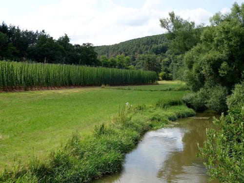 Spalt zum Schnittlinger Loch
