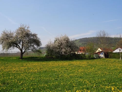 Zum Lindelberg ab Igensdorf