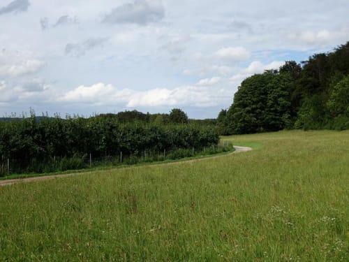 Kirschblütenwanderung zum Walberla