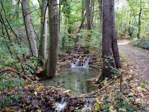 Gräfenberg - Großenohe -  Eggloffstein - Hohenschwärz