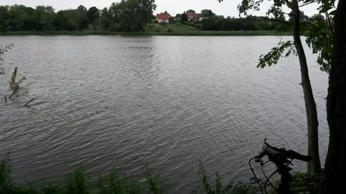 Um den Grünower See