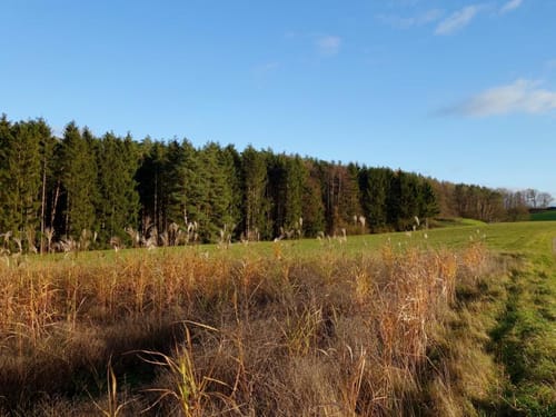 Eckenhaid über Herpersdorf nach Ebach