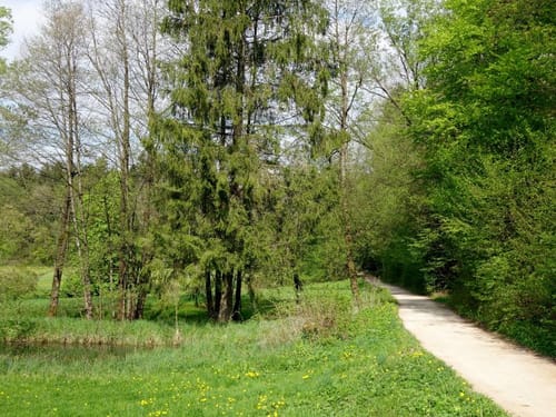Radwanderweg: Frankenalb 7