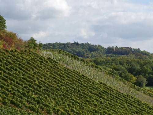 Kelten-Erlebnisweg Etappe 1: Bad Windsheim - Bullenheim