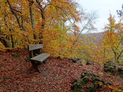 Über Grünreuth nach Hartenstein
