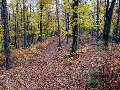 Neuhaus-Rundwanderweg No.6