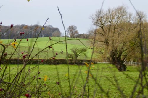 Cappelner Ringweg