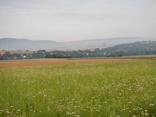 Rund um den Feldberg