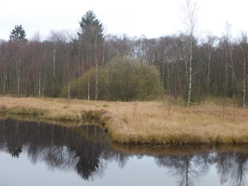 Ums Rote Moor