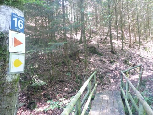 Durch das Bäderland (Etappe 2): Oberbach - Bad Brückenau