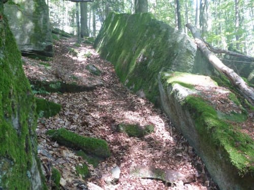 Durch das Bäderland (Etappe 2): Oberbach - Bad Brückenau