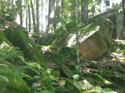 Durch das Bäderland (Etappe 2): Oberbach - Bad Brückenau