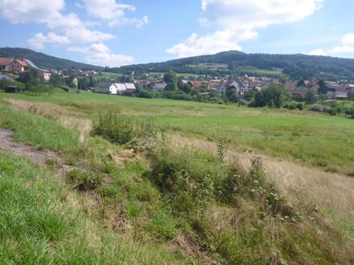 Durch das Bäderland (Etappe 2): Oberbach - Bad Brückenau