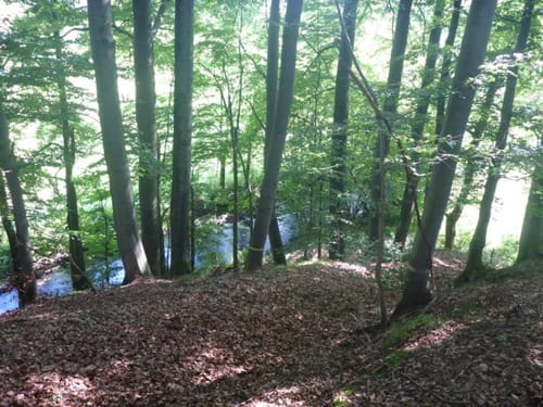 Durch das Bäderland (Etappe 2): Oberbach - Bad Brückenau
