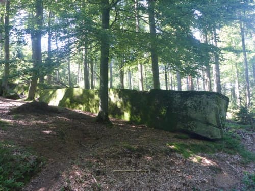 Durch das Bäderland (Etappe 2): Oberbach - Bad Brückenau
