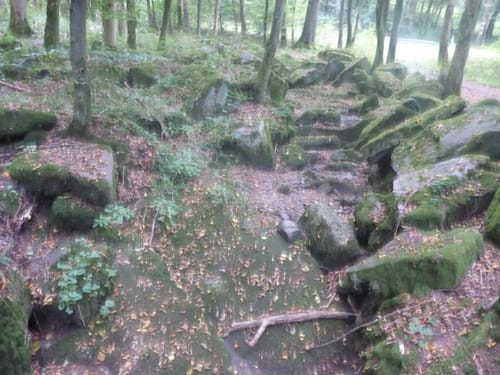 Von Bad Brückenau auf den Dreistelz