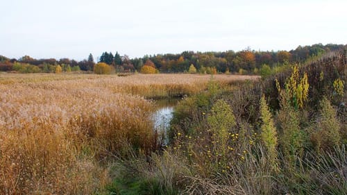 Redener Panoramapfad