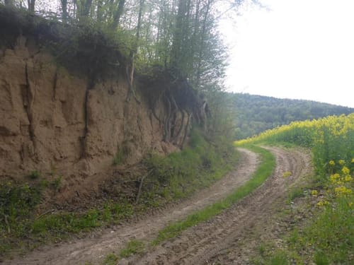 Wandern im Saaletal - Wanderung zum Kloster Schönau