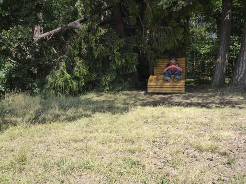 Rund um Waldfenster