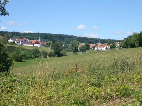 Rund um Waldfenster