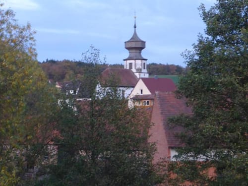 Saueiche ab Braidbach