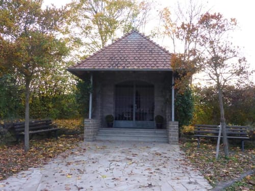 Saueiche ab Braidbach