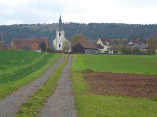 Saueiche ab Braidbach