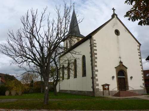 Saueiche ab Braidbach