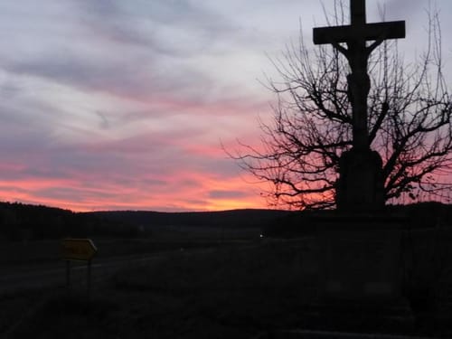 Saueiche ab Braidbach