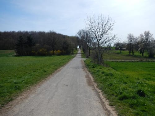 Friedberg- Altenstadt