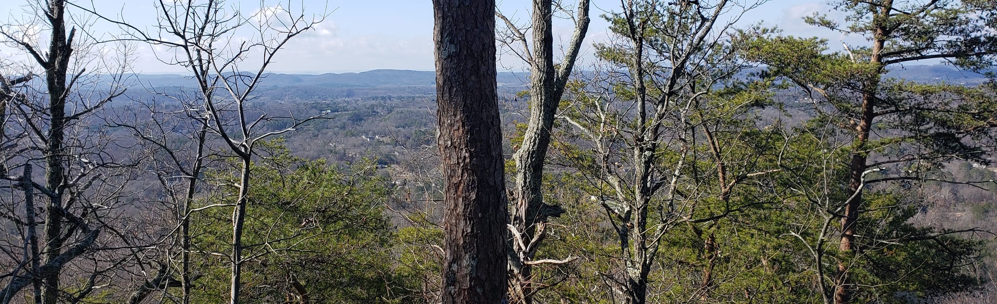 W. Disney Trail, 482 Reviews, Map AllTrails