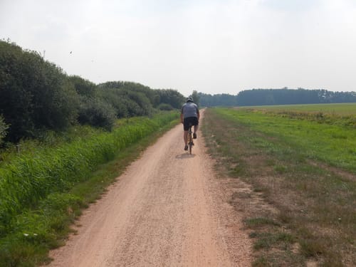 Wanderweg Dümmerdeich