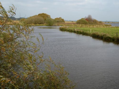 Worpswede ins Teufelsmoor