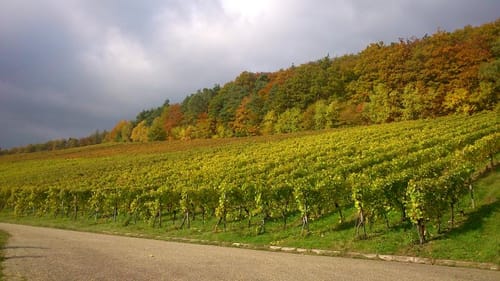 Rund um Ochsenbach