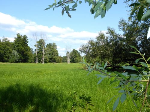 Spreewald-Erkundungsrunde ab Landhotel Burg