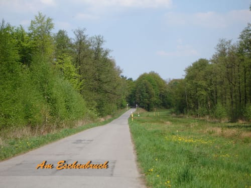 RSV D-Rath RTF: Zwischen Rhein und Ruhr - 42km